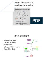 RNA Motif Discovery: A Computational Overview
