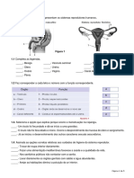 311329768-teste6-6A (1).docx