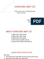 Mạch Vùng Đầu Mặt Cổ