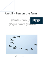 Unit 5 - (Birds) Can (Fly) ... (Pigs) Can't (Climb)