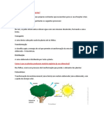 Como Se Alimentam As Plantas