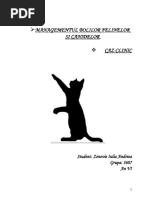 Cristaluria Si Urolitiaza La Pisica  PDF