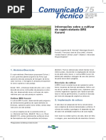Informacoes Tecnicas Sobre a Cultivar de Capim Elefante BRS Kurumi COT 75