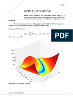 Functia Lui Rosenbrock