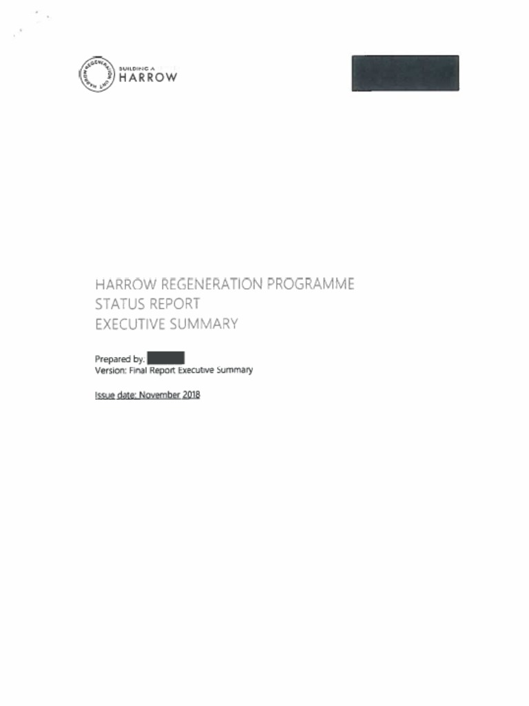 Aspire Report (Redacted) PDF Economies Business