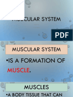 Muscular System: Science T. Roselle