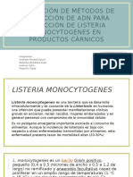 ADN Listeria