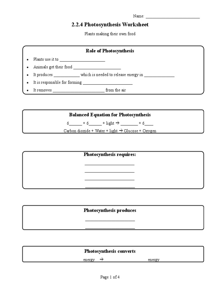 2 2 4 Photosynthesis Worksheet Photosynthesis Plants