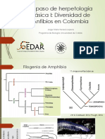 Repaso de Herpetología Básica I Amphibia I