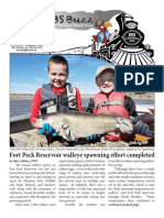 Fort Peck Reservoir Walleye Spawning Effort Completed: Published by BS Central