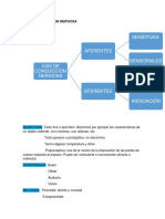 VIAS DE CONDUCCION NERVIOSA - Nutri.docx