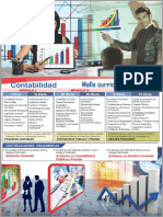 malla curricular contabilidad.pdf