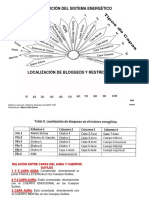 Lectura de Registros Akashicos