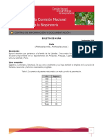 Boletin Intro Munia PDF