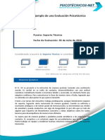 Ejemplo de Un Informe Psicotécnico PDF