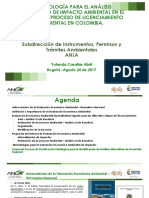 Metodología para El Análisis Económico Ambiental - Dra. YOLANDA CASALLAS - ANLA