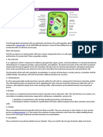 Diagram of plant cell.docx