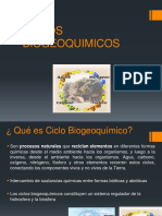 Ciclos BiogeoQuimicos