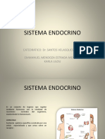 Sistema Endocrino