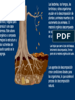 Tecnicas Compostaje y Lombricultura1