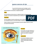 Organos Anexos Del Ojo