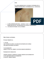 Lesiones Primarias en Dermatologia