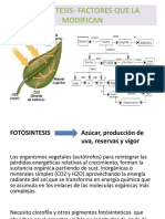 FOTOSINTESIS- FACTORES QUE LA MODIFICAN.ppt