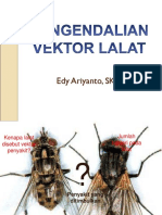 Pengendalian Vektor Lalat