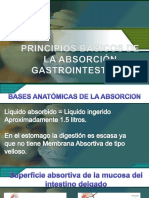 Principios Basicos de La Absorcion Gastrointestinal