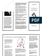CORONILLA DE LA MISERICORDIA.pdf