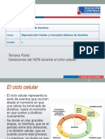 ADN_p1.pdf