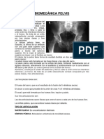 PELVIS Biomecanica