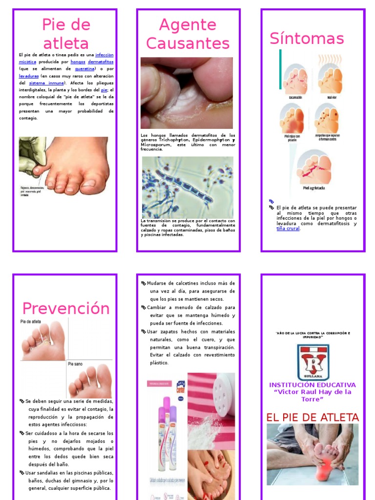 Triptico Pie de Atleta2 PDF Inmunología Epidemiología
