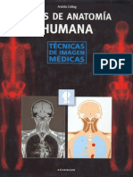 Anatomia Basica de Gray 1era Edicion