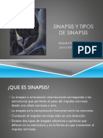 SINAPSIS