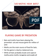 How Noctuid Moths Hear Bats