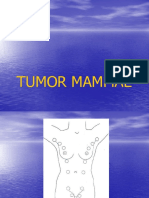 Tumor Mammae