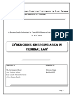 cyber crime-emerging area in criminal law.docx