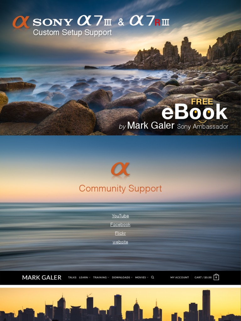 Customizing Your Sony A7III Settings | PDF | Image Stabilization | Live ...