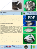 16bma03um Fs Tilapia Culture - English