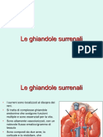 4_ Lezione Surreni 2_ parte.ppt