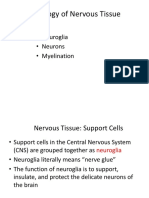 Histology of Nervous Tissue: - Neuroglia - Neurons - Myelination