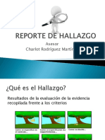 Reporte de Hallazgo