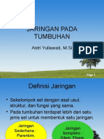 jaringan meritem dan dewasa-1.pptx