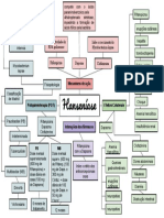 Mapa Mental - Hanseníase