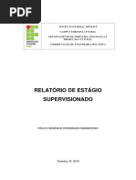 Relatório de estagio _ Paulo Henrique Damasceno.pdf