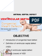 Congenital Heart Defect-Vsd