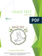 Peace Test - Prezentare Finala