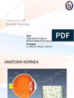 BST - Keratitis