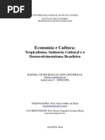 ZINCONE. Economia e Cultura Tropicalismo Industri